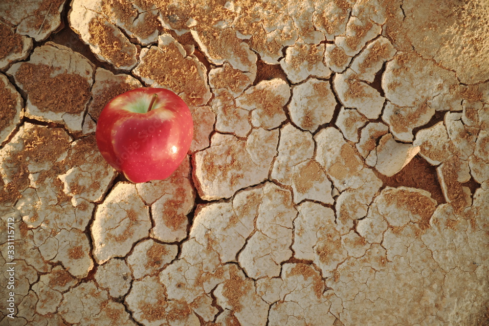 An apple on a dry cracked desert soil. Water shortage, food insecurity, crisis, hunger and agriculture concept.