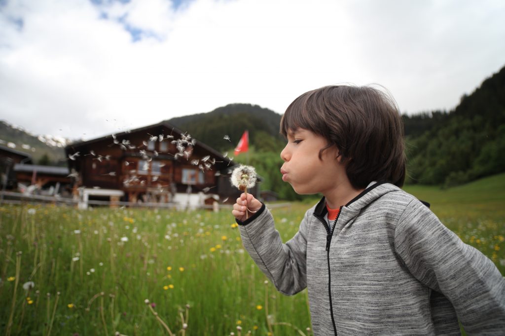 Boy holding dandelion blowing near green grass field