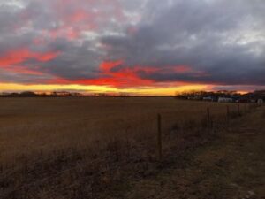 A picture of a sunset in which the clouds above the horizon are a blue/grey on top and lit up underneath with a fire-y red. there are fence posts in the foreground, continuing forwards and to the right of frame. The fire-clouds are above the horizon, which sits above a wheat field which has already been harvested.