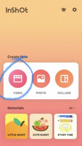 A screenshot in the InShot app with the graphic and word 'VIDEO' circled.