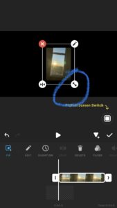 A screenshot in the InShot app--in the picture-in-picture feature, with the corner adjuster circled in blue