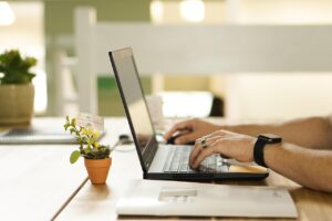 online, connection, laptop, plant, workstation, pot, nature, work, table, workspace, technology, online, online, online, online, online
