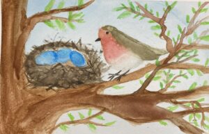 Watercolour painting of a robin next to her nest amd three blue eggs, nestled in a tree branch in early spring