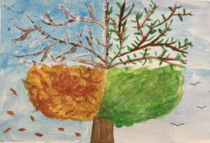 A watercolour version of a tree showing what the tree would look like in each season