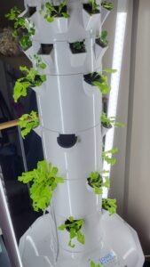 Picture of Tower Garden with seedlings growing except in one spot