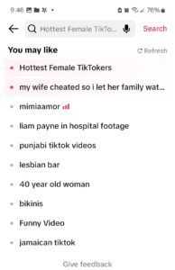 Screen Shot of pre generated TikTok searches 