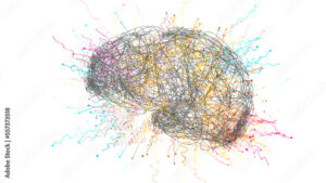 Human brain, illustration
