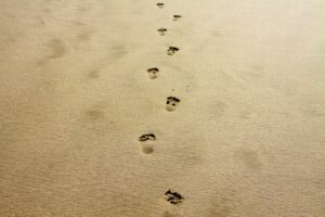 footprint, sand, alone