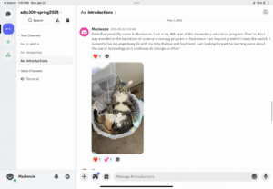 Introduction discord post and an image of a cat.