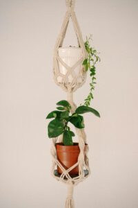 Macrame plant hanger with indoor pot.