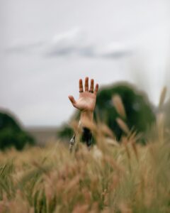 Photo of a raised hand in a meadow waving.