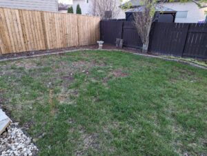 Area of my backyard before the project began.