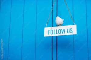 Blue background with a white bird sitting on a sign that says "Follow Us"