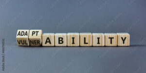 Vulnerability or adaptability symbol. Turned wooden cubes and changed words 'vulnerability' to 'adaptability'. Grey background, copy space. Business, vulnerability or adaptability concept.