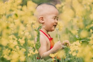 child, flower wallpaper, boy, flowers, beautiful flowers, flower background, meadow, cute, kid, young, nature, childhood, baby, toddler, posing, portrait