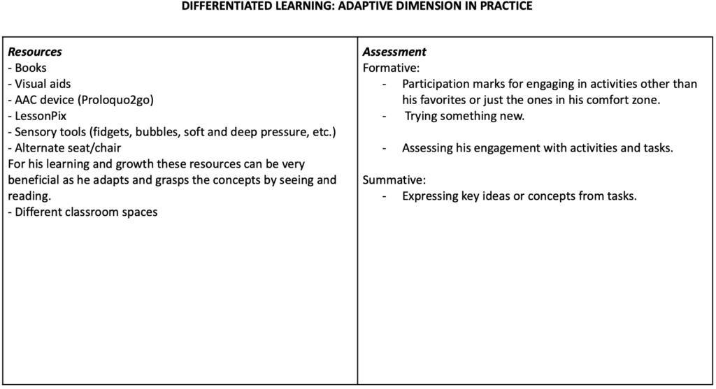 Planning For Differentiation Priyanka S E Portfolio