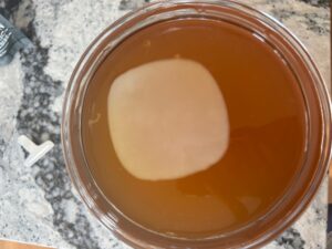 A top down image looking into a jar of sweetened black tea with a kombucha SCOBY floating on top.