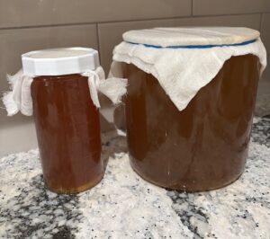 A photograph of two freshly prepared jars of Kombucha on the counter. 