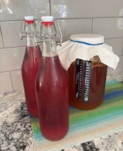 Two flip top bottles of raspberry kombucha sit on a counter next to a gallon jar of kombucha that is brewing.