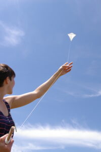 image of white kite being flown in a blue sky