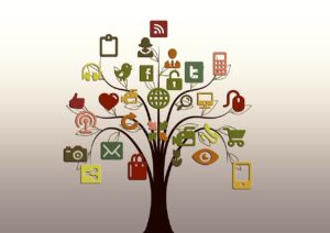 tree, structure, nature, networks, internet, network, social, social network, logo, tiktok, facebook, google, social networking, networking, social media, icon, website, presentation, multimedia