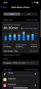 Screen time snapshot from previous week.