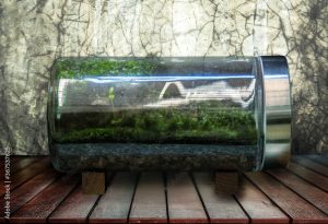 green moss glasshouse hobby collectiono on forest