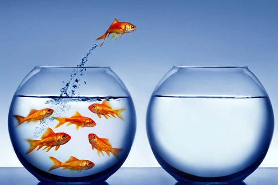 Teaching Inside the Social Media Fishbowl